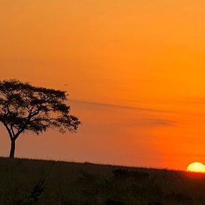 Meet your Posher, Izzy